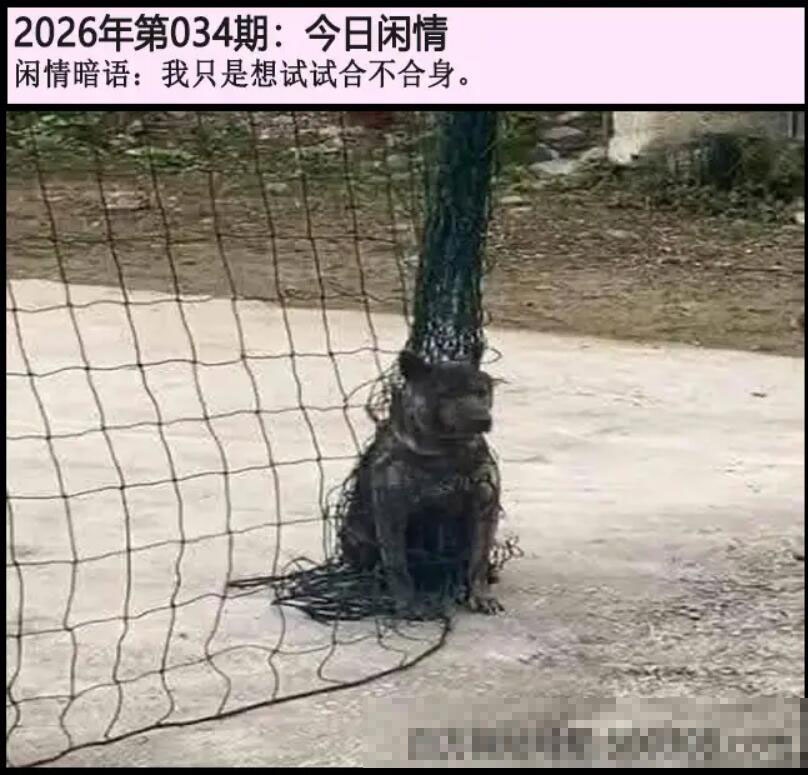 034期另版今日闲情[图]