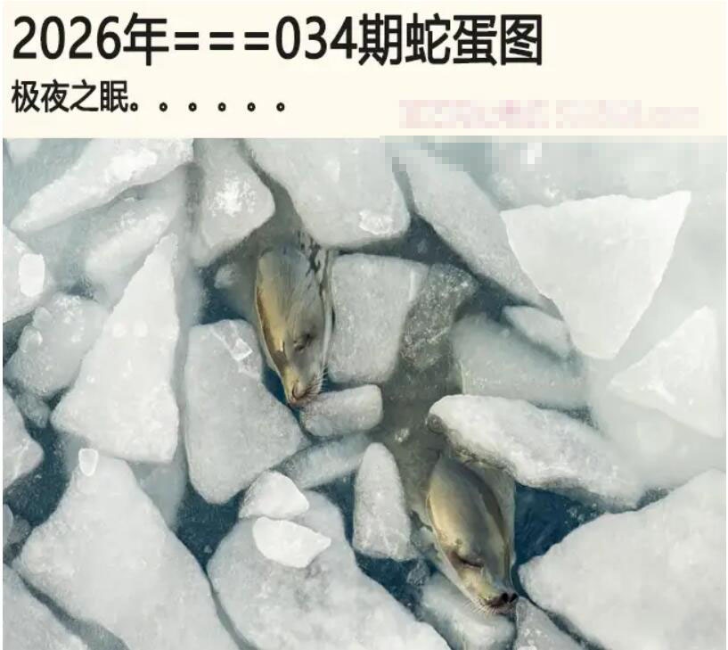 034期另版蛇蛋图[图]